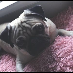 Meet your Posher, Georgia